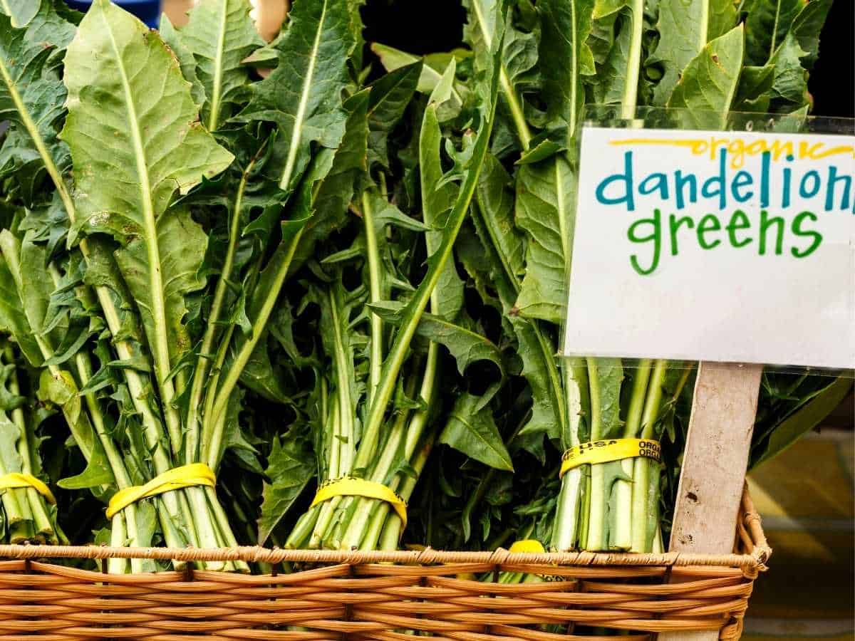 dandelion greens in basket