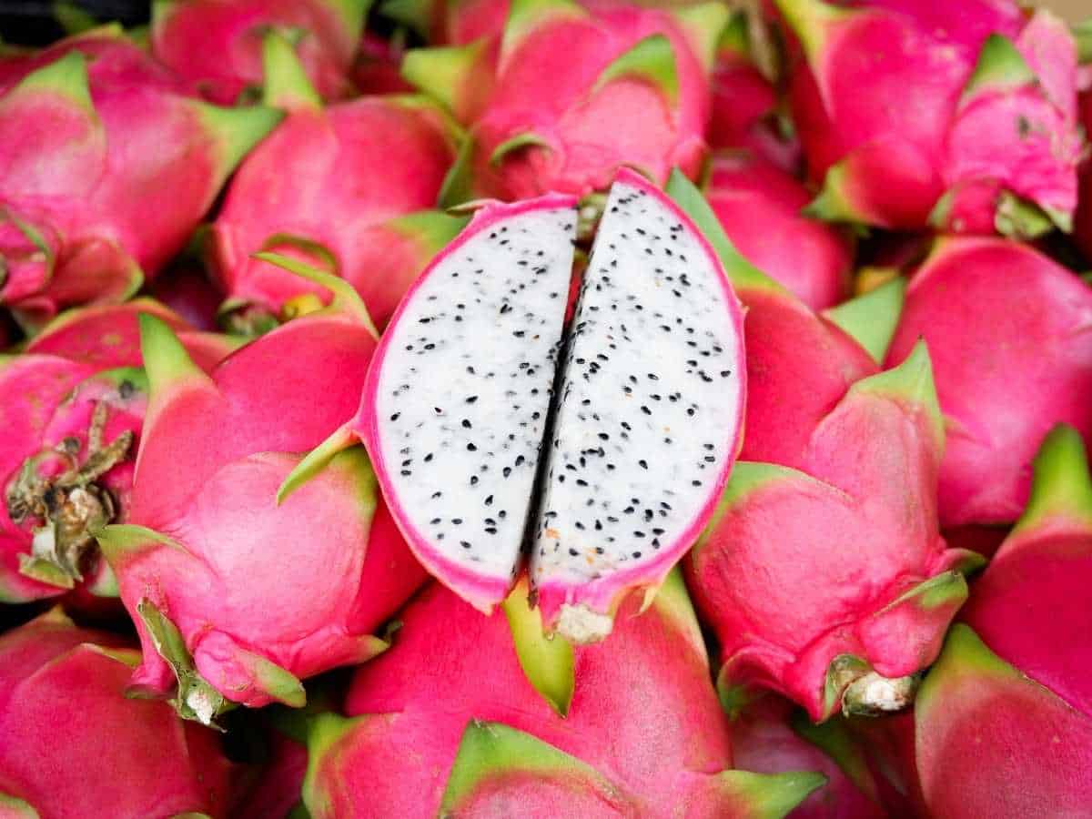 dragon fruit