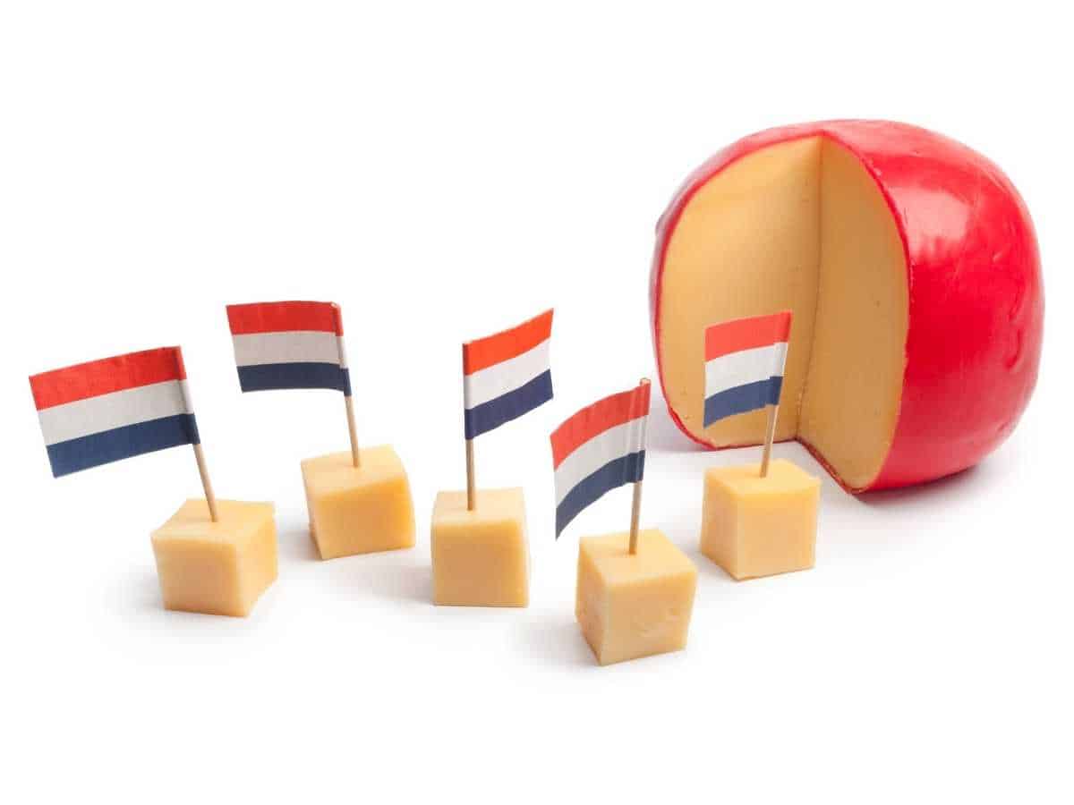 edam cheese