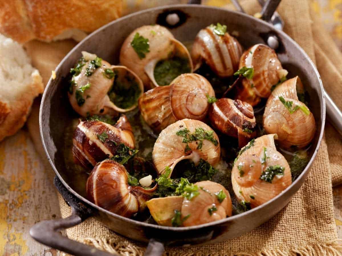 escargot