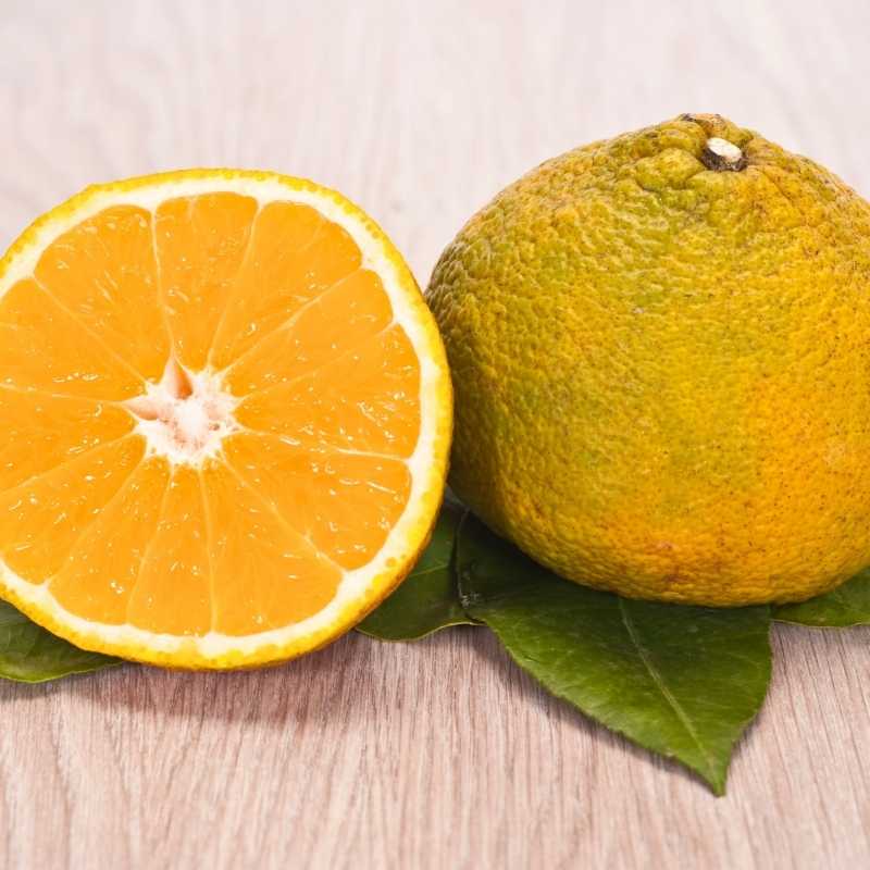 foods that start with u ugli fruit