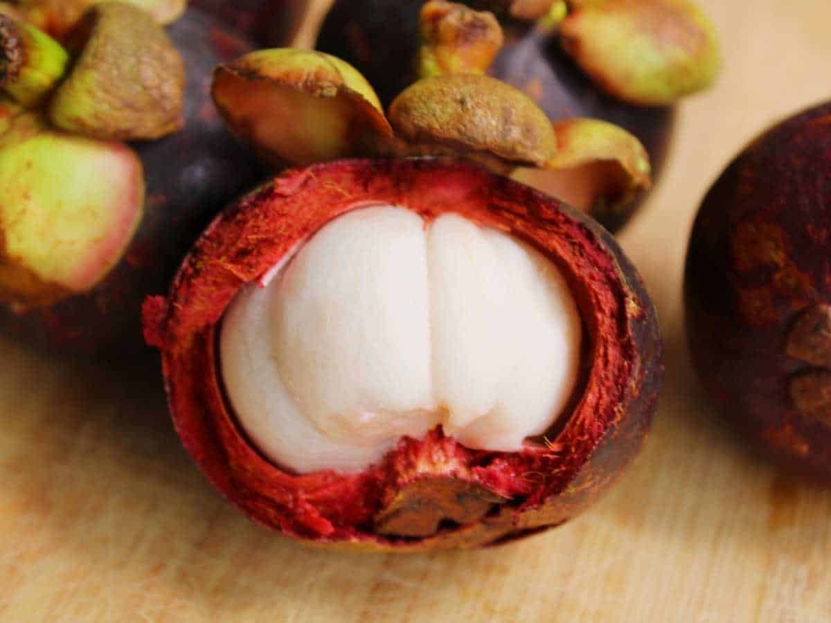 African Mangosteen