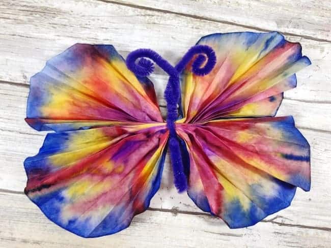 coffee filter butterfly for butterfly book 