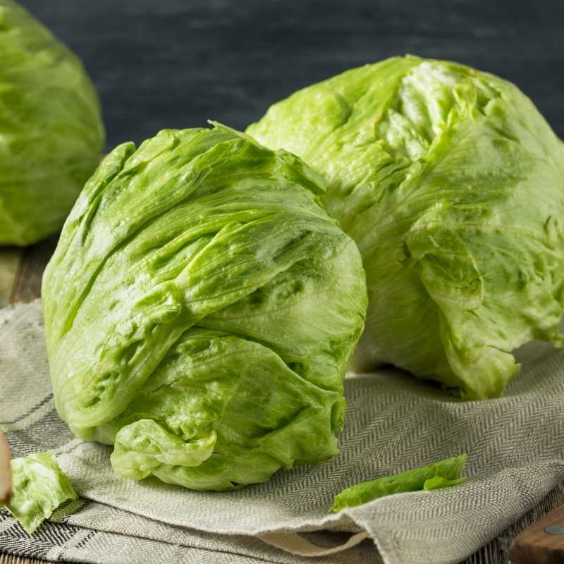 iceberg lettuce foods that start with iv