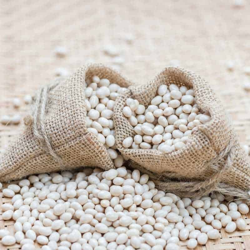 navy beans are foods that start with n