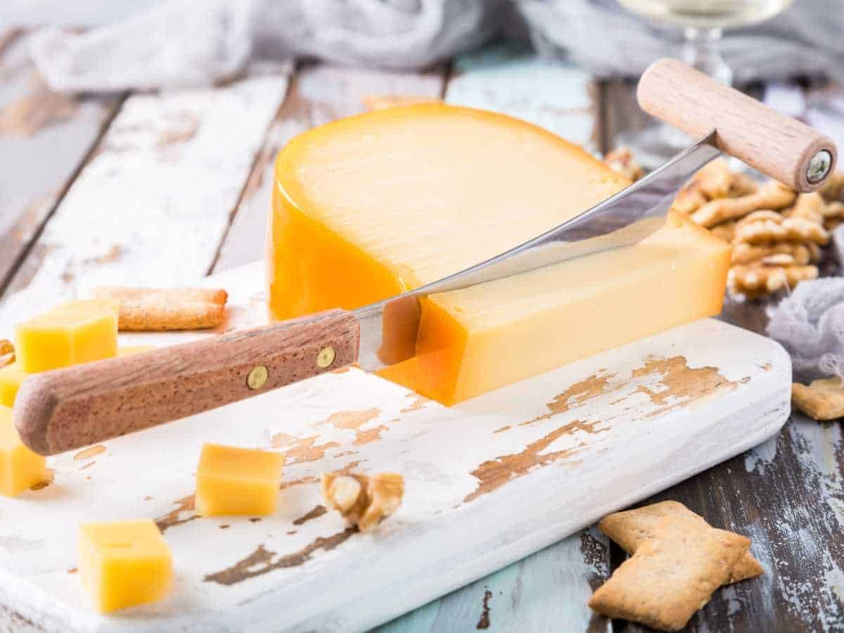 gouda