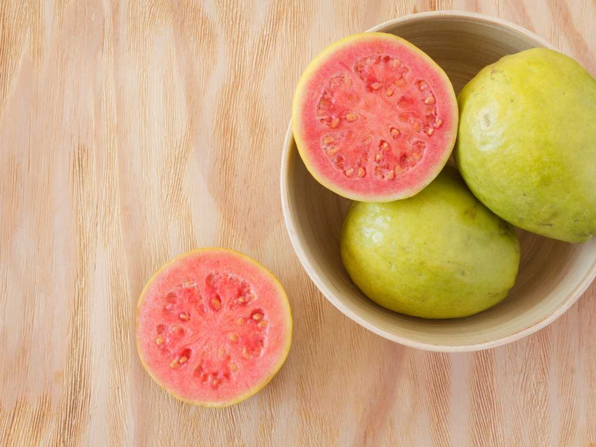 guava