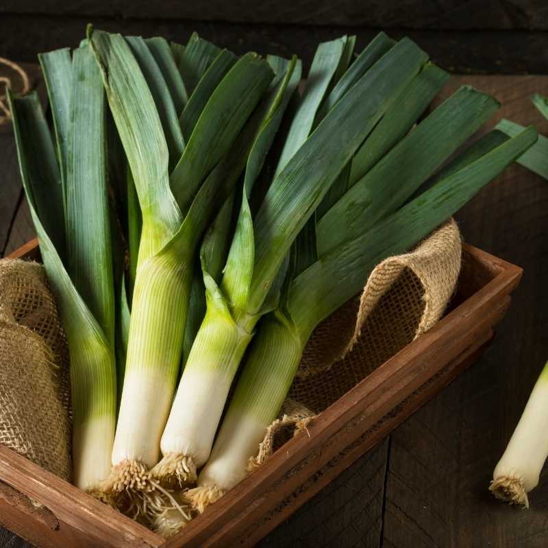 leeks are foods that start with l