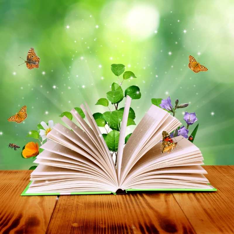 37 Best Reading Books For 2nd Grade Students Parenting Nest