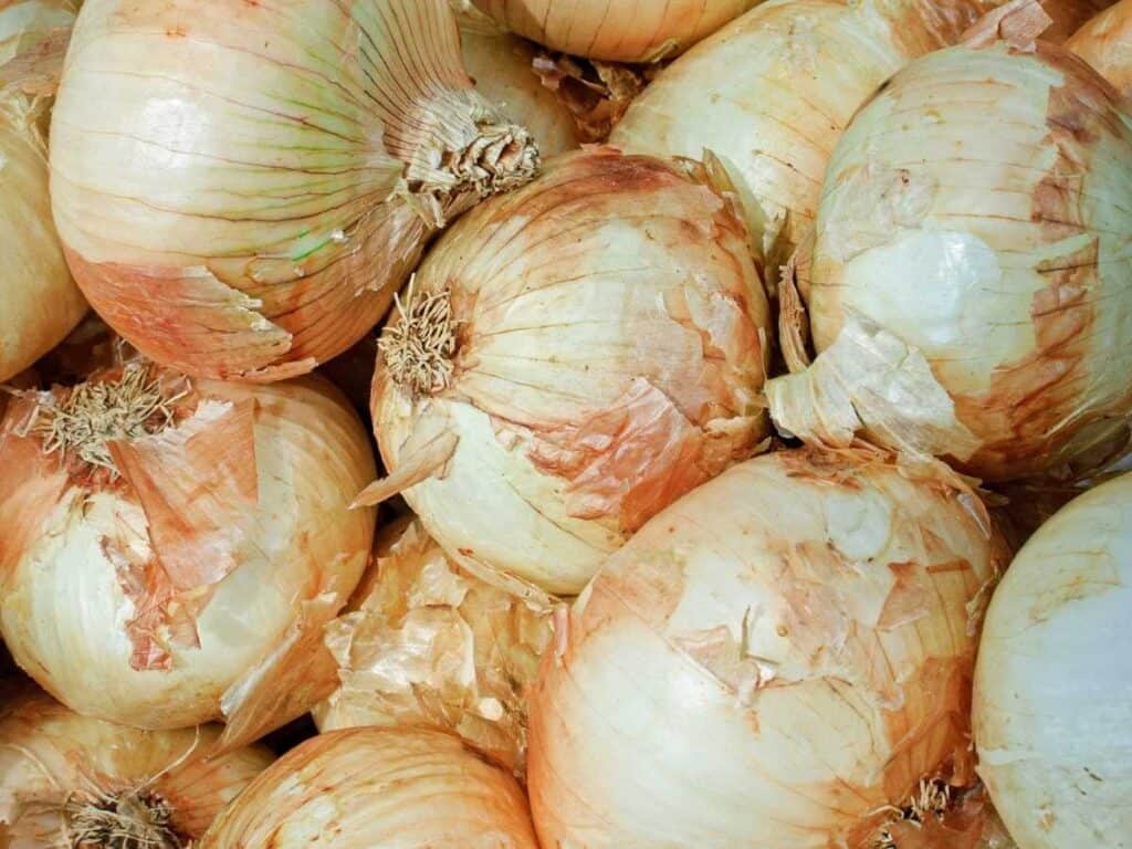 vidalia onions foods that start with v