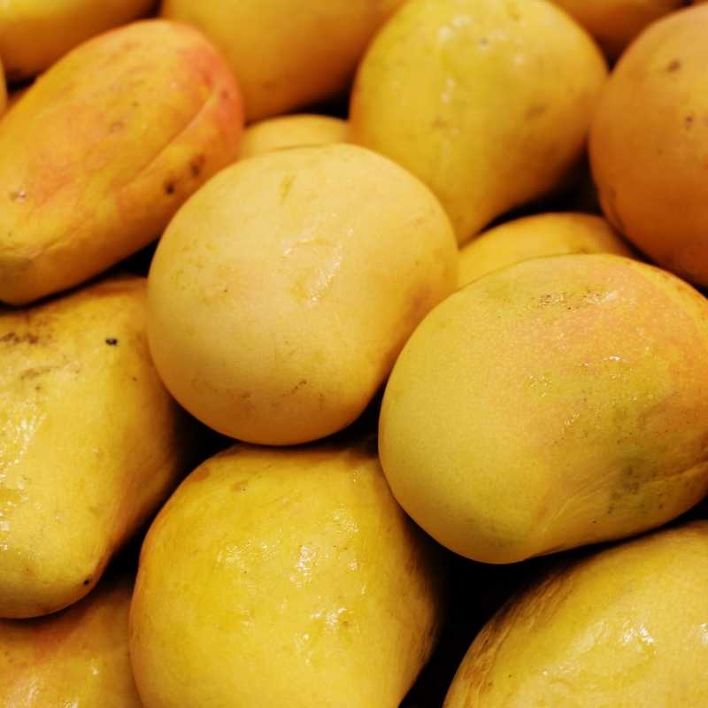 yellow mango food that starts with y