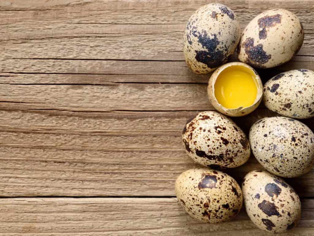 quail eggs