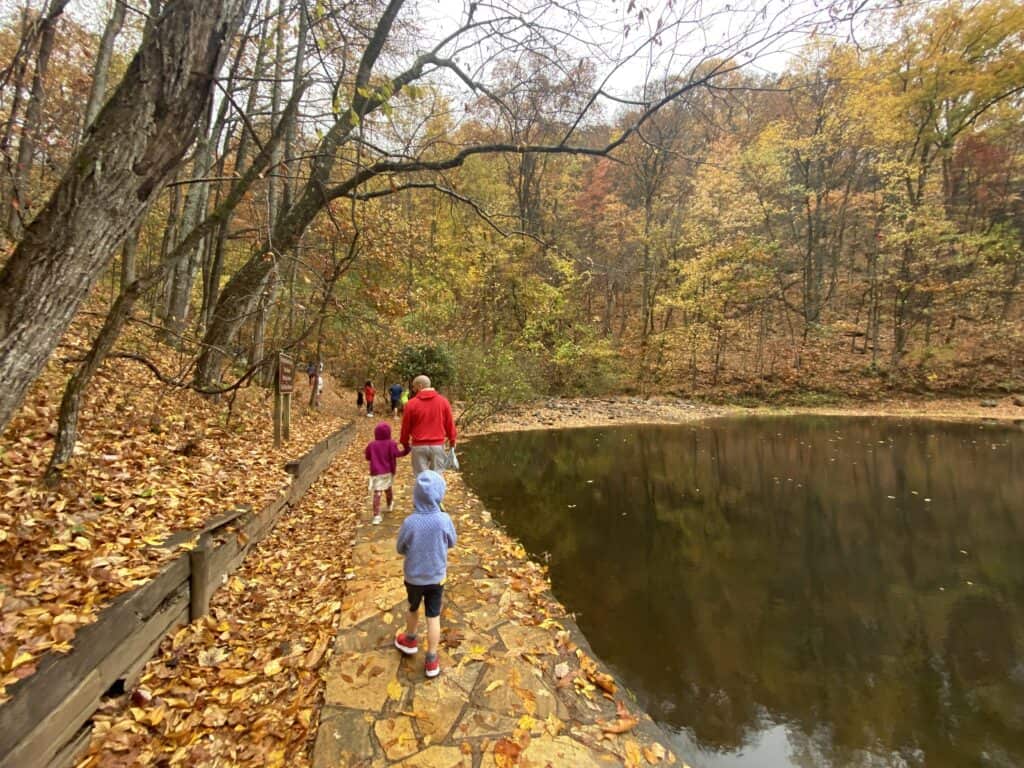 family hike in north georgia