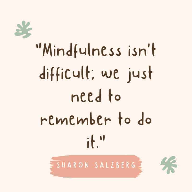 mindfulness quote by sharon salzberg