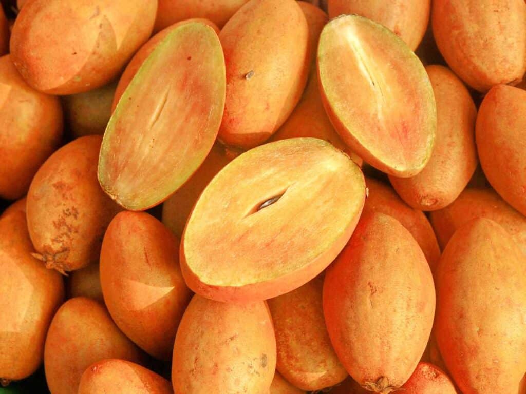 sapodilla