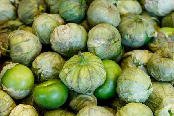 tomatillo